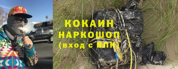 молекула духа Нягань