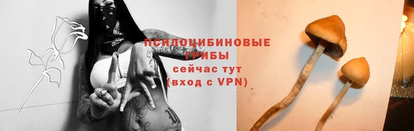 гашиш Арсеньев