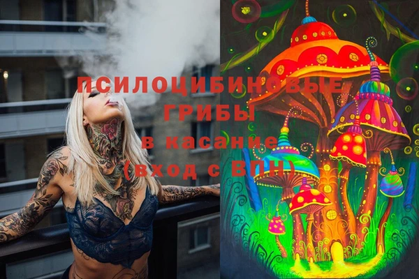 гашиш Арсеньев