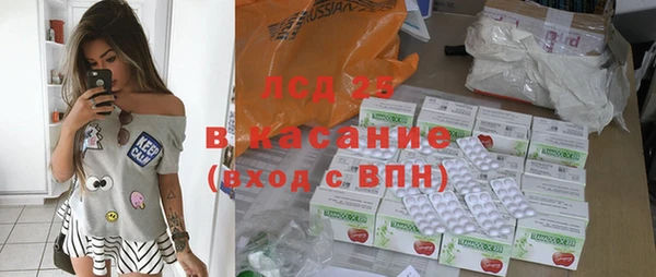 твердый Аркадак
