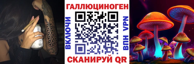 OMG сайт  Аша  Псилоцибиновые грибы GOLDEN TEACHER 